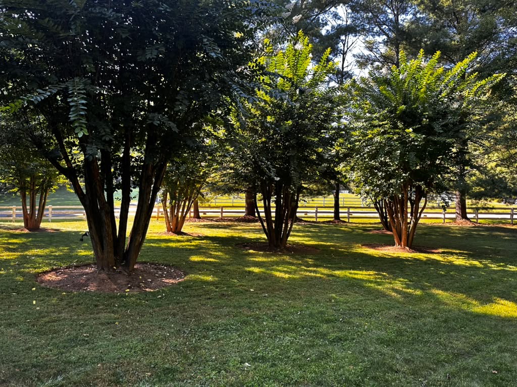Landscaped grove of trees on the NEPEMA grounds